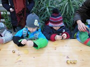 Vánoční výlet - Ekocentrum Mladá Boleslav